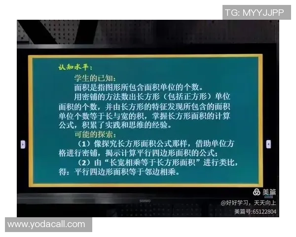 上海羽毛球队战术解析与训练策略的深度探讨与思考