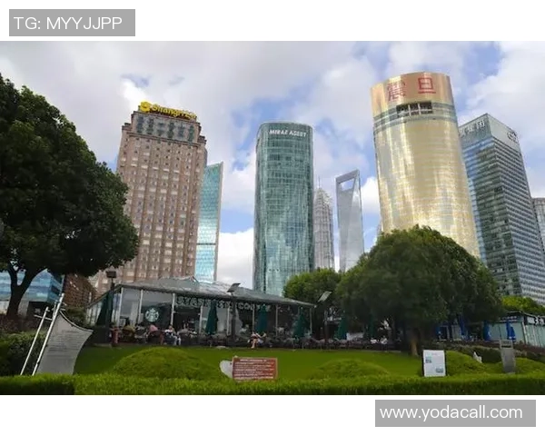 上海篮球队的奋斗历程与荣耀时刻全景纪实